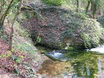 Bild 1 von Beispring - Quelle